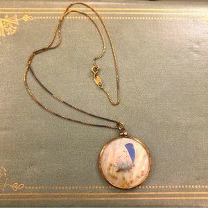 Antique moth butterfly taxidermy necklace.  Real moth